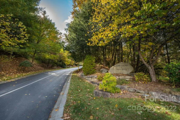 99999 SHINING ROCK PATH, HORSE SHOE, NC 28742, photo 2 of 27