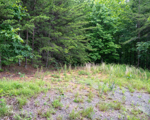 TBD CHICORY DRIVE, MARION, NC 28752 - Image 1