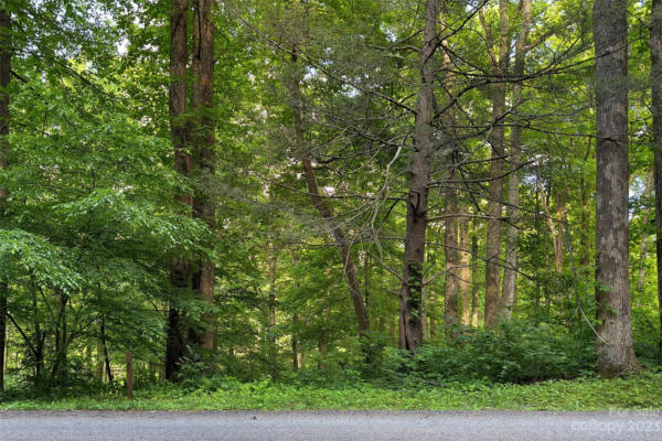 LOT 190 BLUE RIDGE DRIVE N # LOT 190, MARION, NC 28752, photo 4 of 23