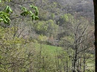 7A CHESTNUT FLATS RD # 7, WAYNESVILLE, NC 28786, photo 3 of 9