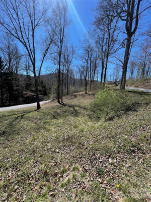 99999 WINDING RIDGE ROAD # 2, ASHEVILLE, NC 28803, photo 2 of 8