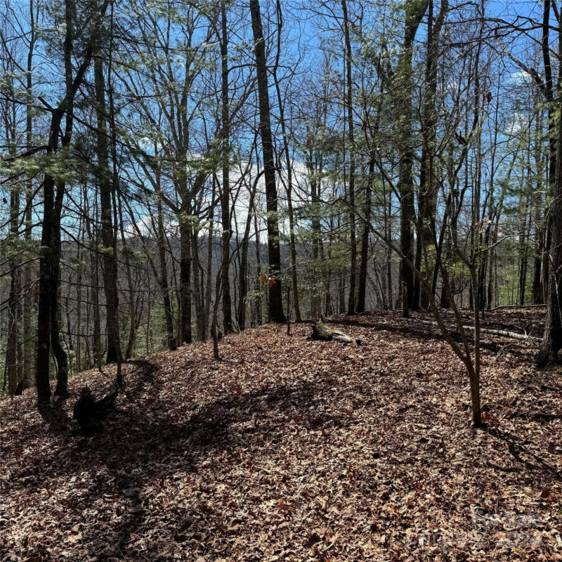 TRACT 32-B KENTWOOD LANE, PISGAH FOREST, NC 28768, photo 1 of 11
