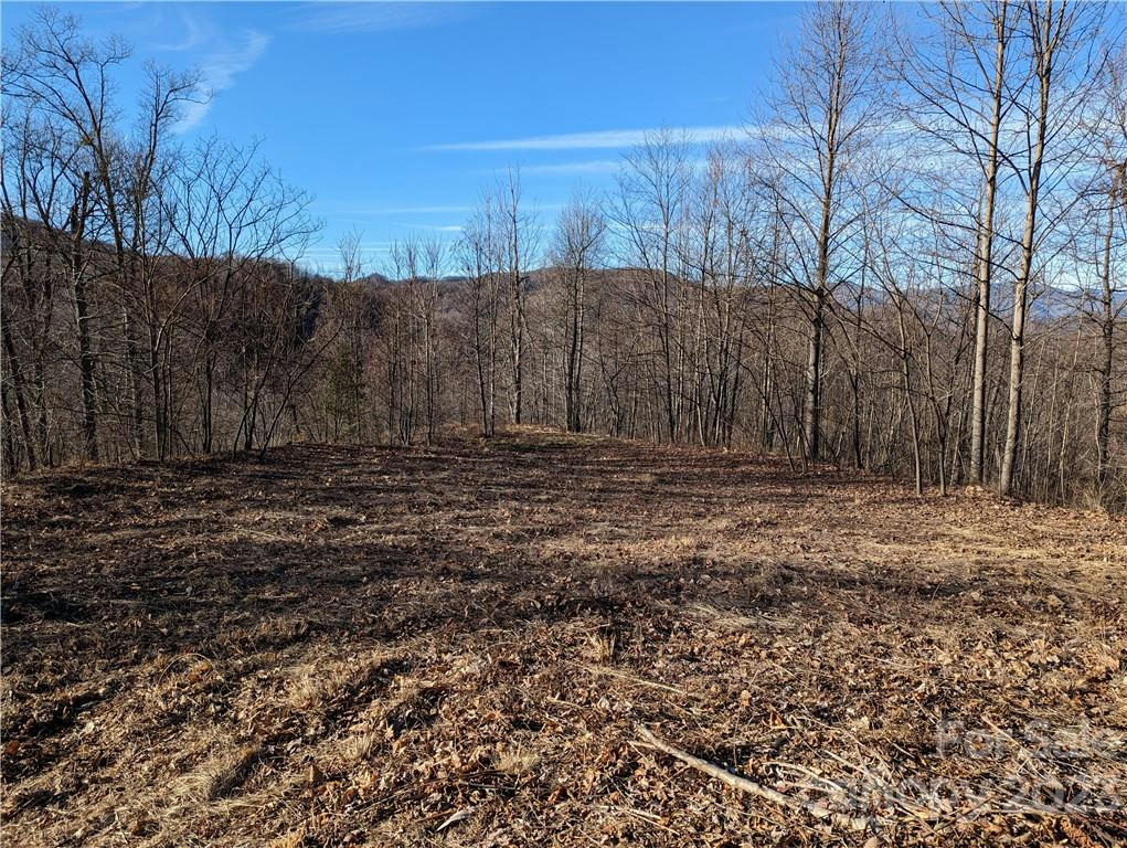 LOT T6 NORTH HAVEN DRIVE # T6, BLACK MOUNTAIN, NC 28711, photo 1 of 25