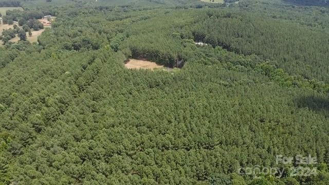 LOTS 3 & 4 MOORE MOUNTAIN LANE, ELLENBORO, NC 28040, photo 2 of 5