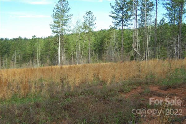 TRACT 3 COUNTY LINE ROAD, MILL SPRING, NC 28756, photo 2 of 7
