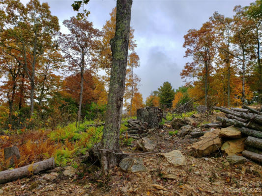 LOTS 11 & 12 SUNSET RIDGE DRIVE # 11&12, BOONE, NC 28607, photo 2 of 7