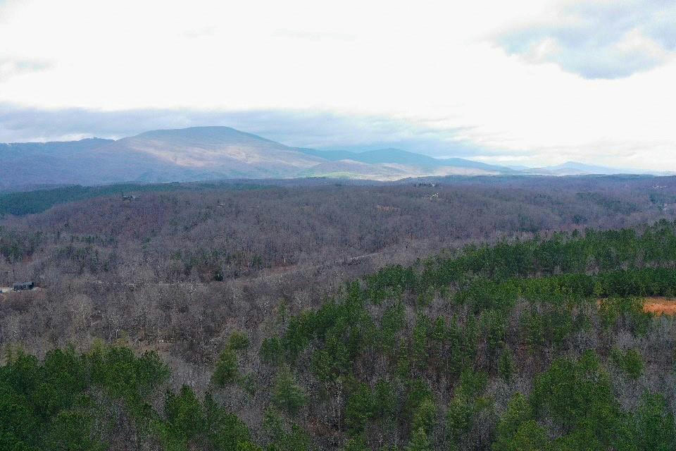 LOT 13 FOREST HILLS DRIVE, MILL SPRING, NC 28756, photo 1 of 11