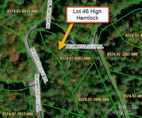 L 46 HIGH HEMLOCK TRAIL # LOT 46, BREVARD, NC 28712 - Image 1