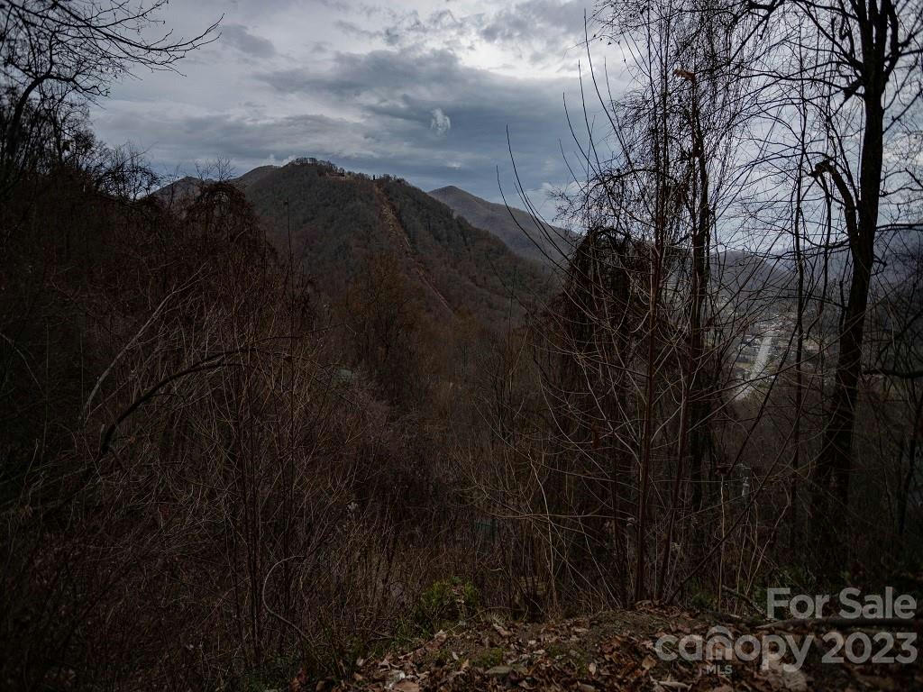1260 SETZER COVE RD # 46, MAGGIE VALLEY, NC 28751, photo 1 of 15