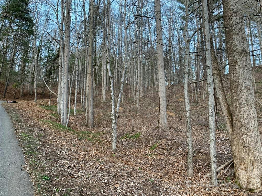 00 SATELLITE MOUNTAIN ROAD, BURNSVILLE, NC 28714, photo 1 of 10